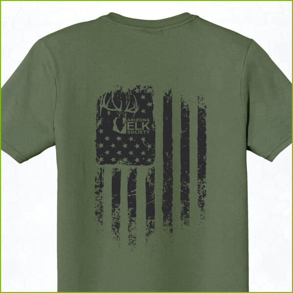 AES Flag Military Green T-Shirt