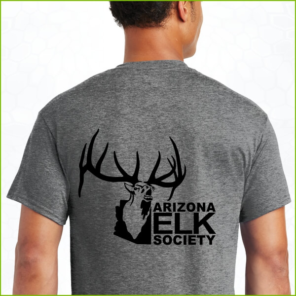 AES Logo Graphite Heather T-Shirt