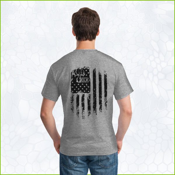 AES Flag Sport Gray T-Shirt