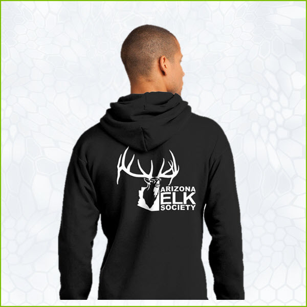 AES Black Hoodie Pullover
