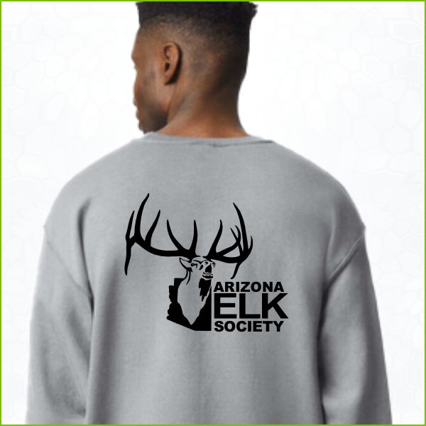 AES Logo Sport Grey Crewneck Sweatshirt