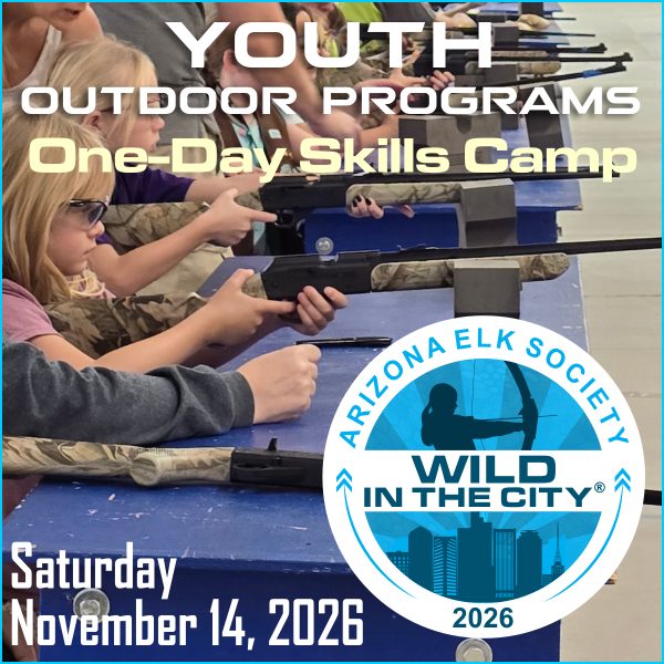 AES Wild In The City November 14, 2026